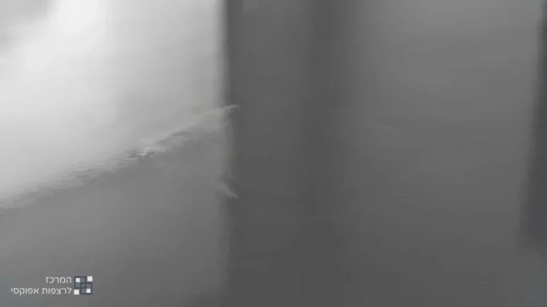 תיקוני ריצוף אפוקסי וחידוש משטחים